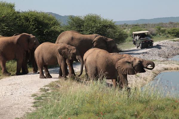 Tau Game Lodge Madikwe Game Reserve Exterior foto