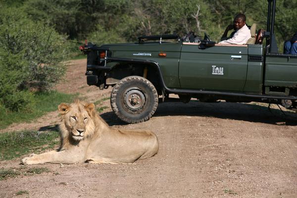 Tau Game Lodge Madikwe Game Reserve Exterior foto