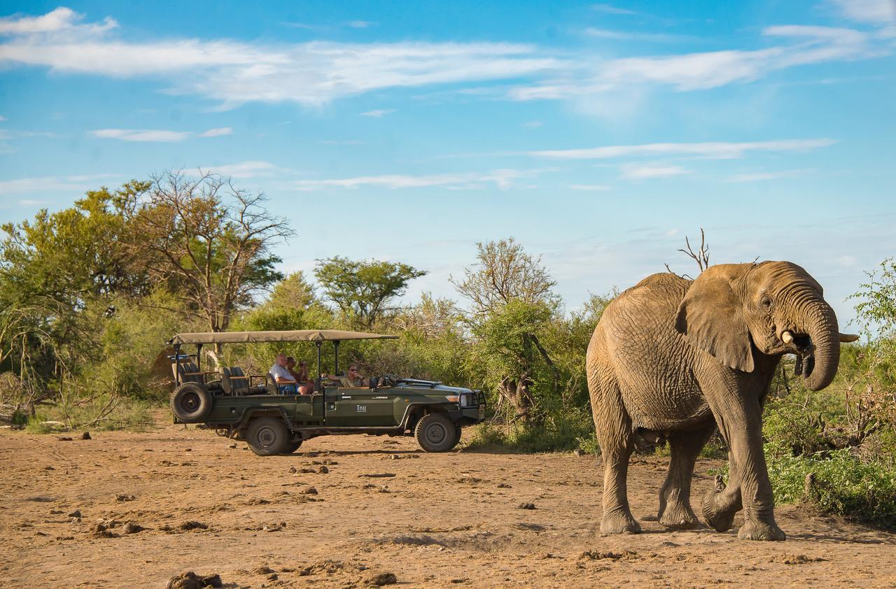 Tau Game Lodge Madikwe Game Reserve Exterior foto